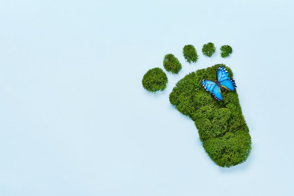 Innovating for a Greener Tomorrow: The Mission of Green Earth Footprint Technologies Ltd.